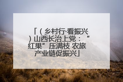 （乡村行·看振兴）山西长治上党：“红果”压满枝 农旅产业链促振兴