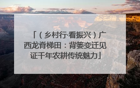 （乡村行·看振兴）广西龙脊梯田：背篓变迁见证千年农耕传统魅力