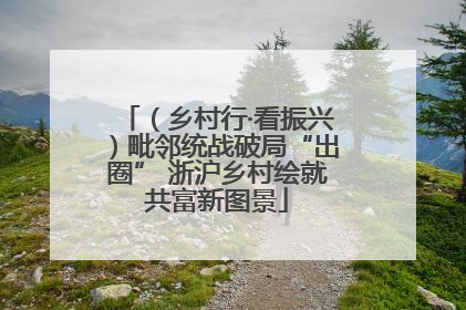 （乡村行·看振兴）毗邻统战破局“出圈” 浙沪乡村绘就共富新图景