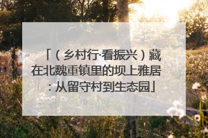 （乡村行·看振兴）藏在北魏重镇里的坝上雅居：从留守村到生态园