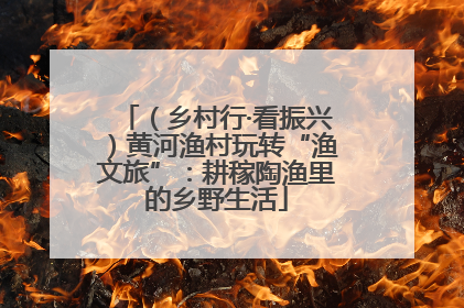 （乡村行·看振兴）黄河渔村玩转“渔文旅”：耕稼陶渔里的乡野生活
