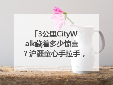 3公里CityWalk藏着多少惊喜？沪疆童心手拉手，“益起走”
