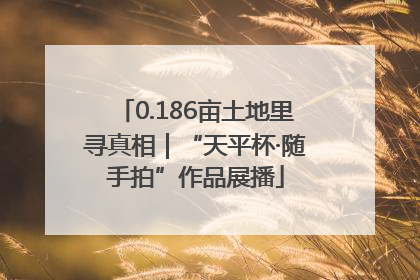 0.186亩土地里寻真相｜“天平杯·随手拍”作品展播