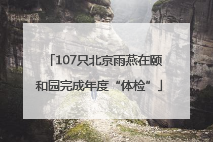 107只北京雨燕在颐和园完成年度“体检”