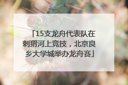 15支龙舟代表队在刺猬河上竞技，北京良乡大学城举办龙舟赛