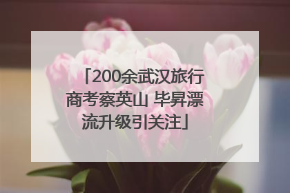 200余武汉旅行商考察英山 毕昇漂流升级引关注