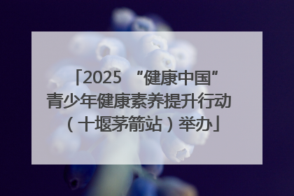 2025 “健康中国” 青少年健康素养提升行动（十堰茅箭站）举办
