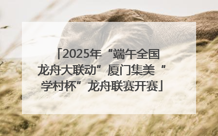 2025年“端午全国龙舟大联动”厦门集美“学村杯”龙舟联赛开赛