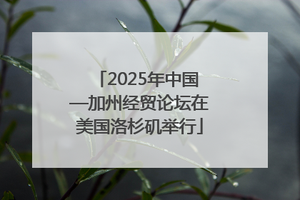 2025年中国—加州经贸论坛在美国洛杉矶举行
