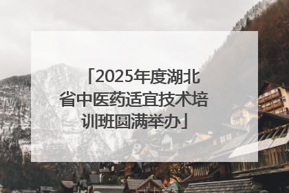 2025年度湖北省中医药适宜技术培训班圆满举办