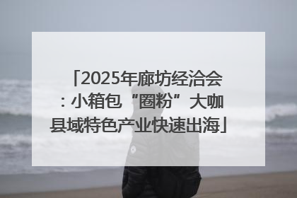 2025年廊坊经洽会：小箱包“圈粉”大咖 县域特色产业快速出海