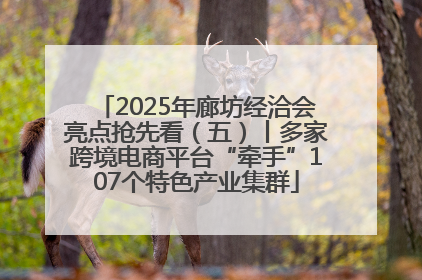2025年廊坊经洽会亮点抢先看（五）丨多家跨境电商平台“牵手”107个特色产业集群