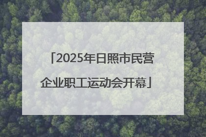 2025年日照市民营企业职工运动会开幕