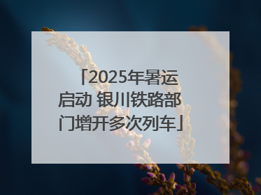 2025年暑运启动 银川铁路部门增开多次列车