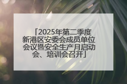 2025年第二季度新港区安委会成员单位会议暨安全生产月启动会、培训会召开