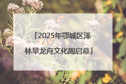 2025年鄂城区泽林旱龙舟文化周启幕