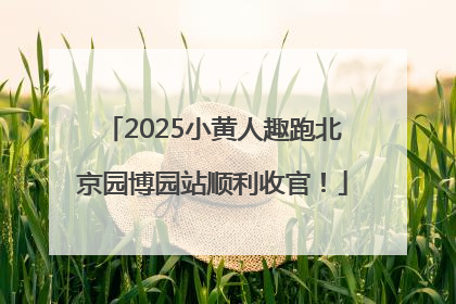 2025小黄人趣跑北京园博园站顺利收官！