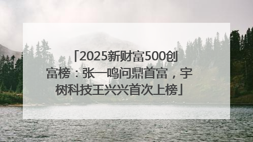 2025新财富500创富榜：张一鸣问鼎首富，宇树科技王兴兴首次上榜