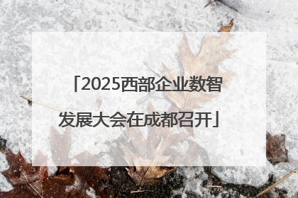 2025西部企业数智发展大会在成都召开