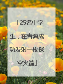 25名中学生，在青海成功发射一枚探空火箭