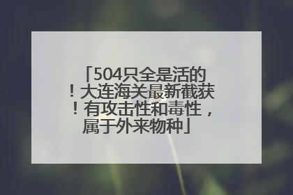 504只全是活的！大连海关最新截获！有攻击性和毒性，属于外来物种