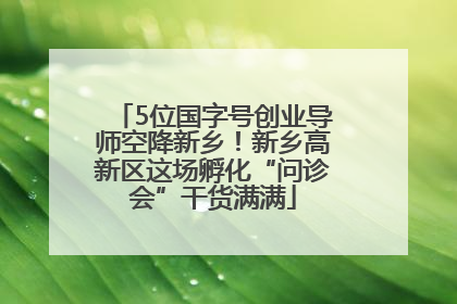5位国字号创业导师空降新乡！新乡高新区这场孵化“问诊会”干货满满