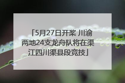 5月27日开桨 川渝两地24支龙舟队将在渠江四川渠县段竞技