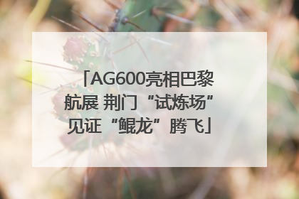 AG600亮相巴黎航展 荆门“试炼场”见证“鲲龙”腾飞