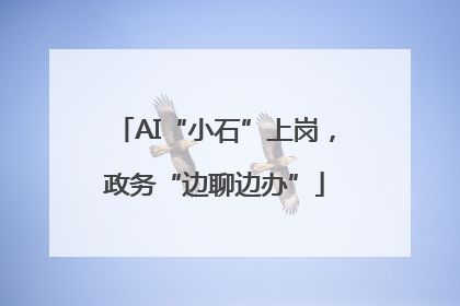 AI“小石”上岗，政务“边聊边办”