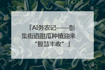 AI务农记——彭集街道甜瓜种植迎来“智慧丰收”