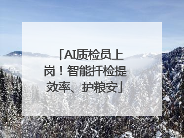 AI质检员上岗！智能扦检提效率、护粮安