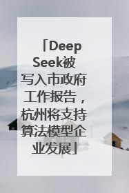 DeepSeek被写入市政府工作报告，杭州将支持算法模型企业发展